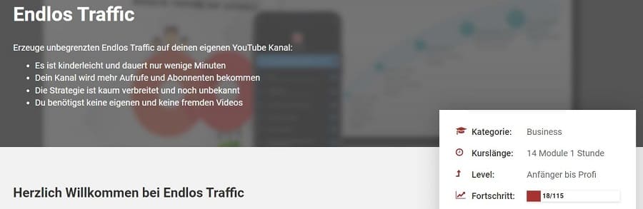 Endlos Traffic Erfahrungen